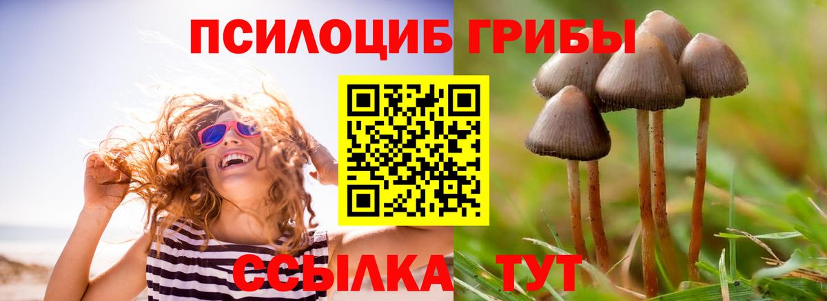 Златоуст  Псилоцибиновые грибы MAGIC MUSHROOMS  Вход с VPN 